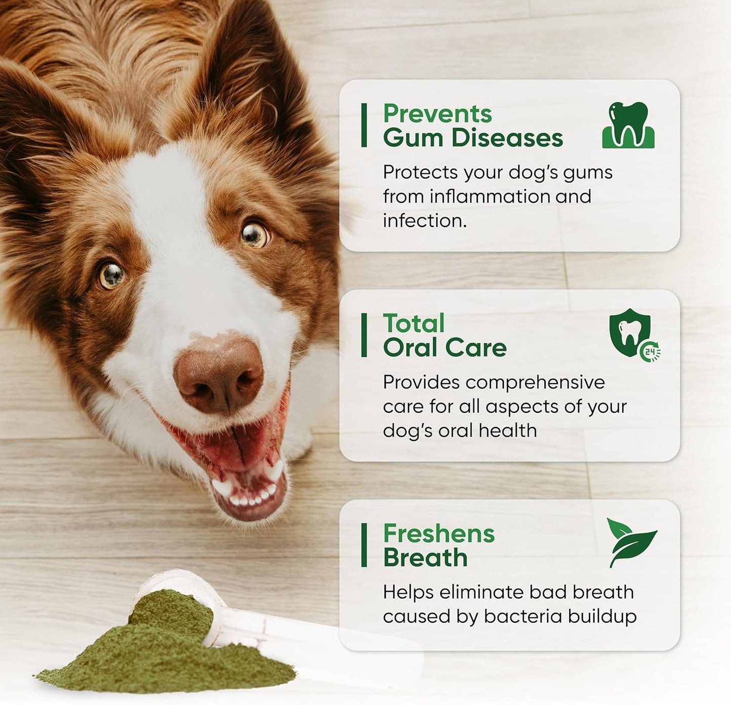 natural-dental-powder-for-dogs---promotes-oral-health-freshens-breath-and-removes-plaque---with-kelp-probiotics-and-green-supplements-for-clean-teeth-and-healthy-gums-3