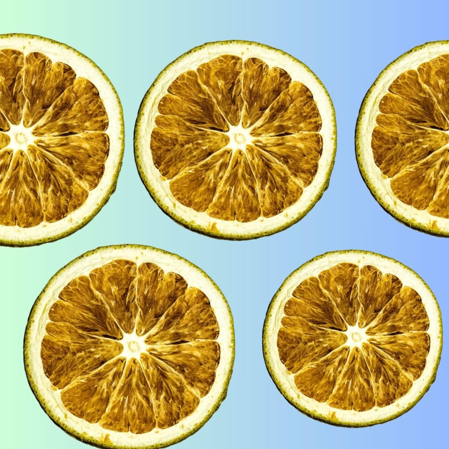 cokcerez Dehydrated Lime Slices - 3.5 oz (100g) Dried Lime Slices - Espot.com.au