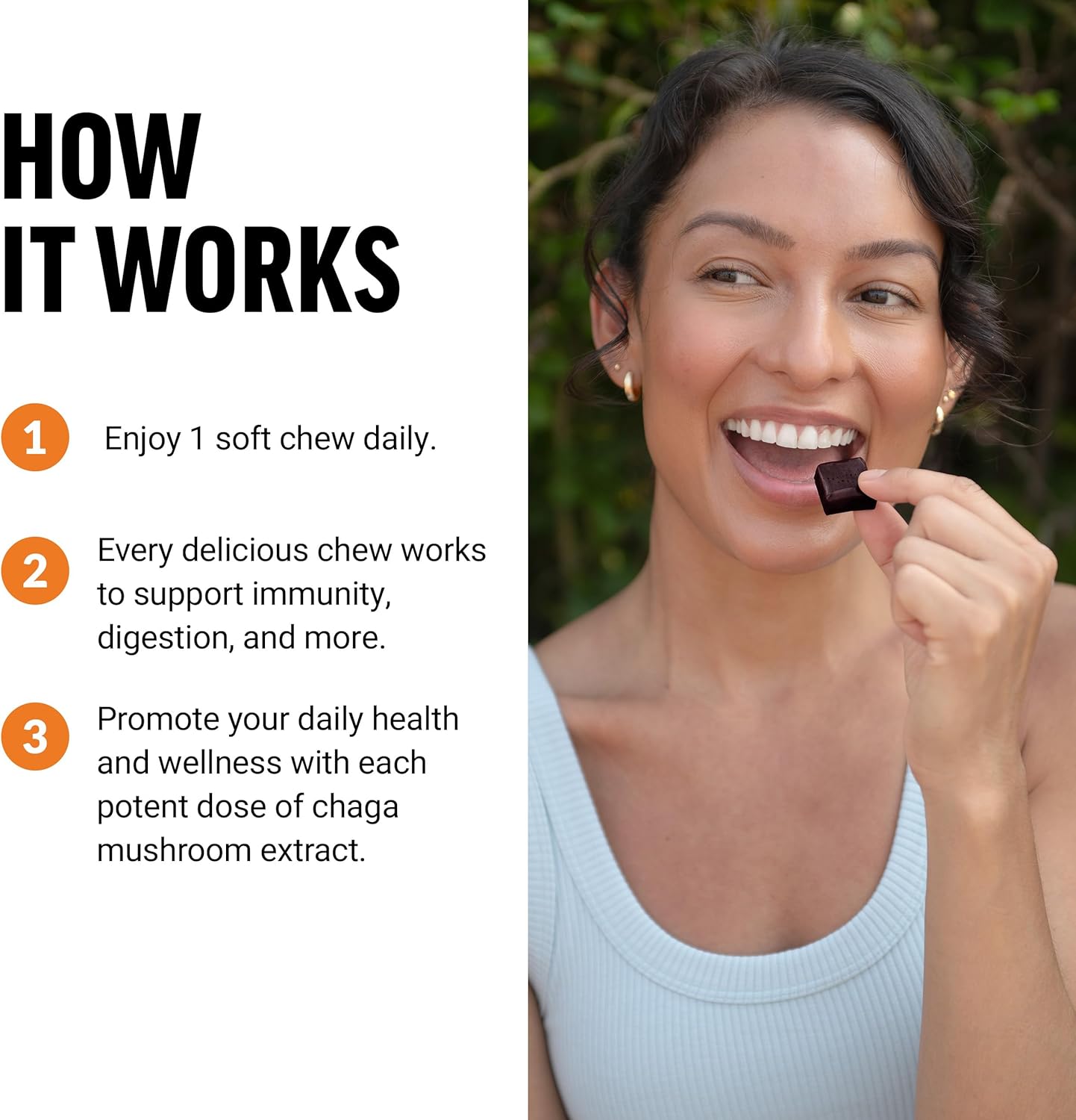 immune-support-chaga-mushroom-soft-chews---antioxidant-supplement-for-digestion-gut-health---30-delicious-chocolate-roll-flavored-chews-4