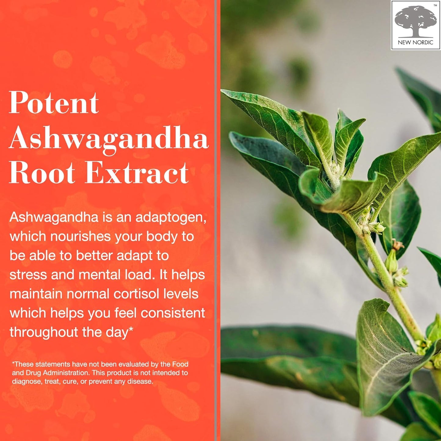 sugar-free-ashwagandha-gummies---300mg-extract---adaptogens-for-men-women---mango-peach-flavor---60-count-6