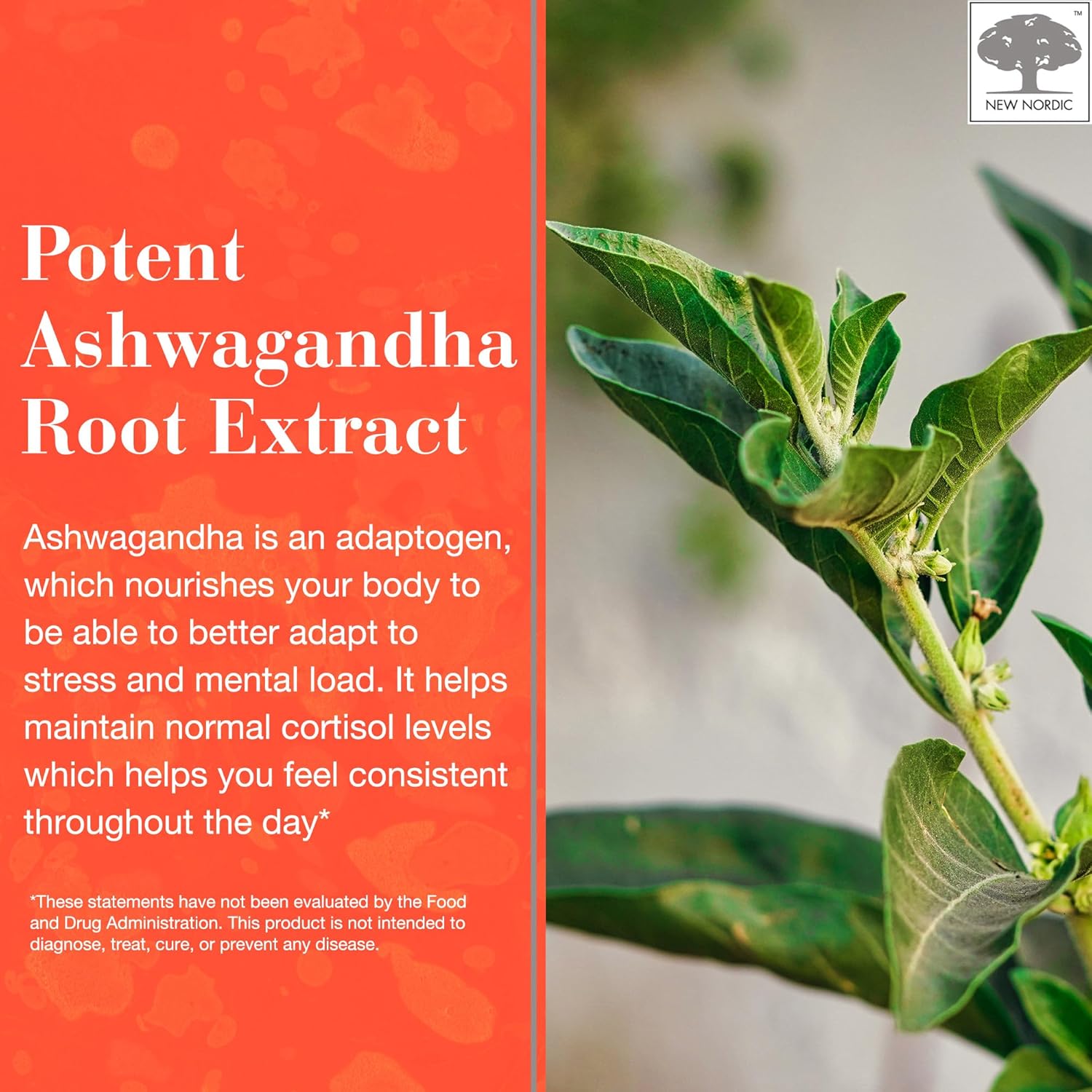 sugar-free-ashwagandha-gummies---300mg-extract---adaptogens-for-men-women---mango-peach-flavor---60-count-6