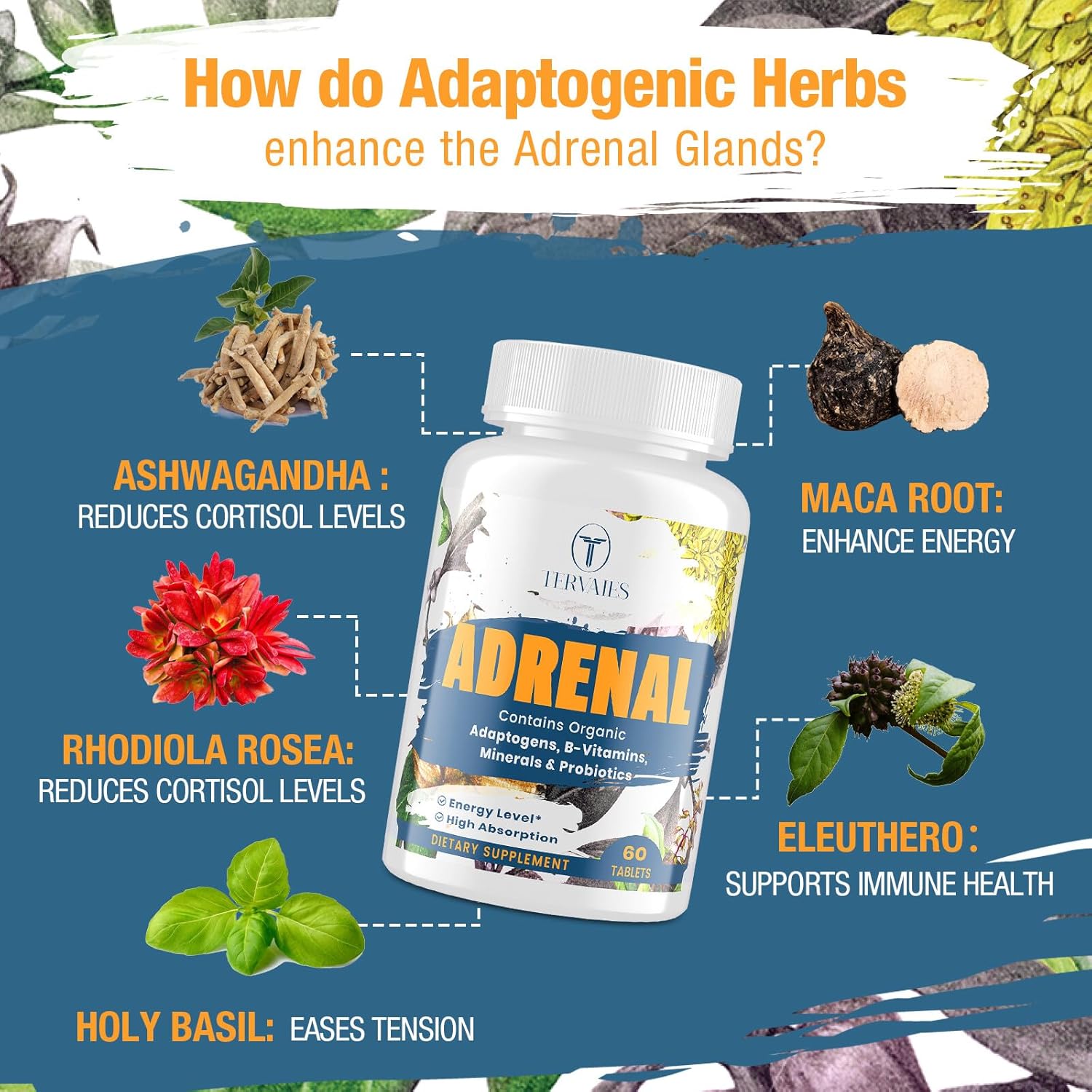 Adrenal Support Supplement with Adaptogens for Energy & Mood - 120 Vegan Tablets, Non-GMO - Rhodiola Rosea, Ashwagandha, Holy Basil, Eleuthero - Women & Men - Espot.com.au