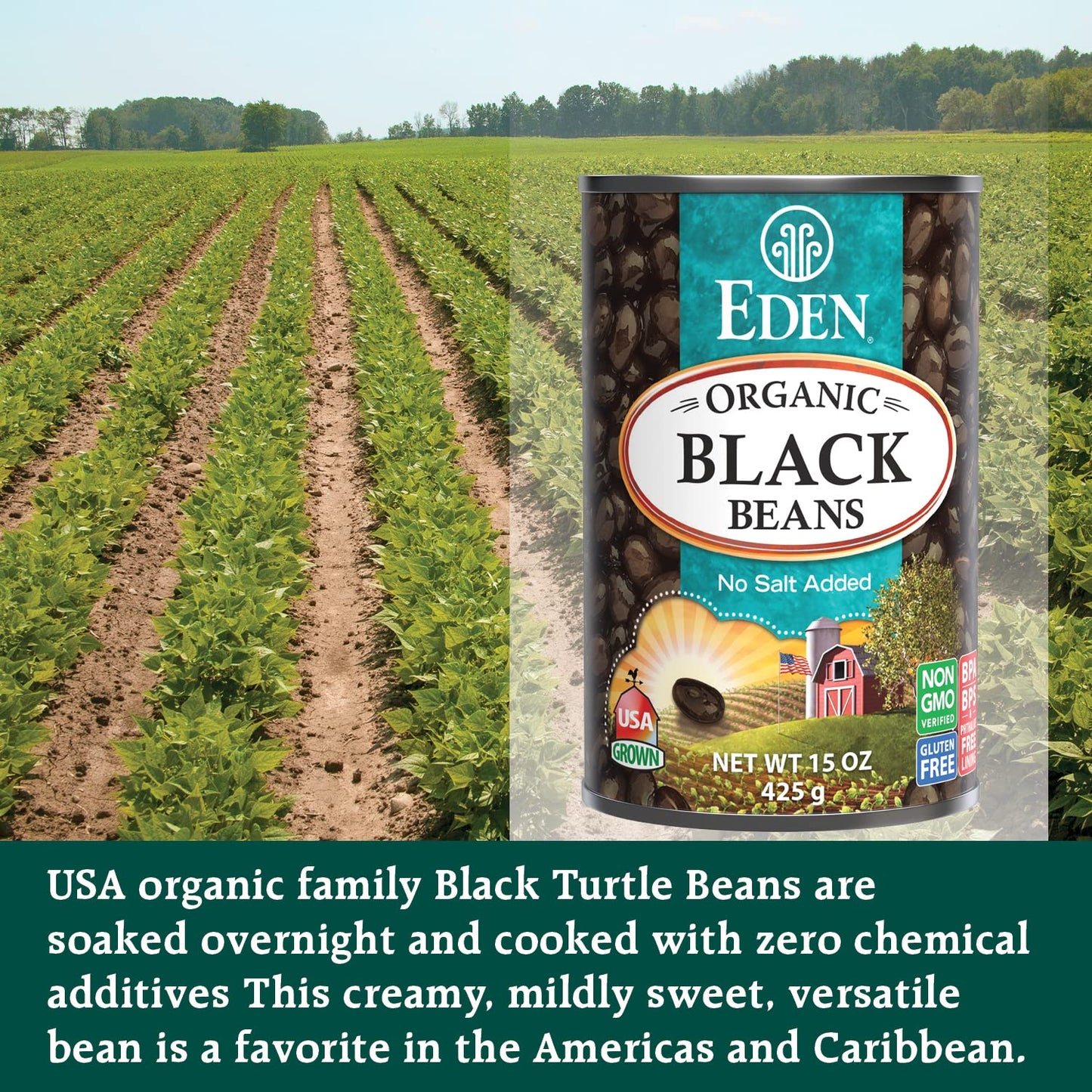 organic-black-beans-15-oz-can-12-pack---no-salt-non-gmo-us-grown-heat-serve---macrobiotic-turtle-beans-frijol-negro-caviar-criollo-3