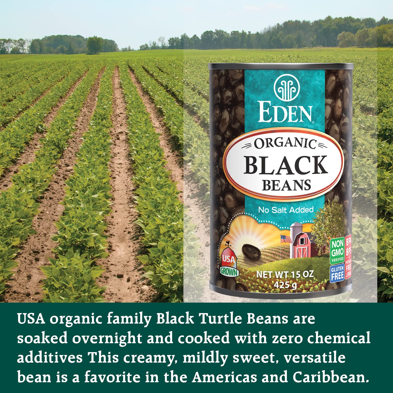 organic-black-beans-15-oz-can-12-pack---no-salt-non-gmo-us-grown-heat-serve---macrobiotic-turtle-beans-frijol-negro-caviar-criollo-3