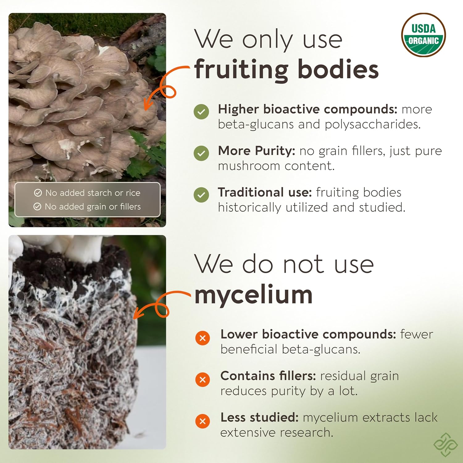 organic-maitake-mushroom-powder---ultra-concentrated-extract-for-balanced-immune-system---100-fruiting-body---100g-3