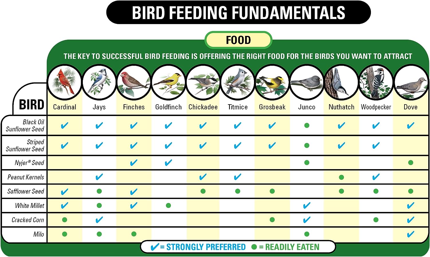 wagner-62053-nyjer-seed-wild-bird-food---20-lb-bag---premium-quality-bird-seed-for-wild-birds-4