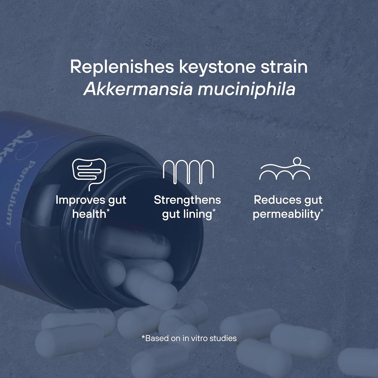 pendulum-akkermansia-probiotic-capsules---delayed-release-third-party-tested-100m-afu-live-strain-prebiotic-fiber-for-gut-health-glp-1-support---90-count-4