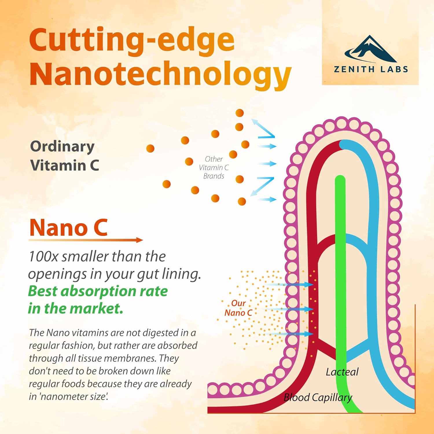 nano-c-liquid-vitamin-c-drops-for-adults---immune-support-supplement-with-nanotechnology-micro-c-particles---fast-absorption-for-stronger-immunity-5