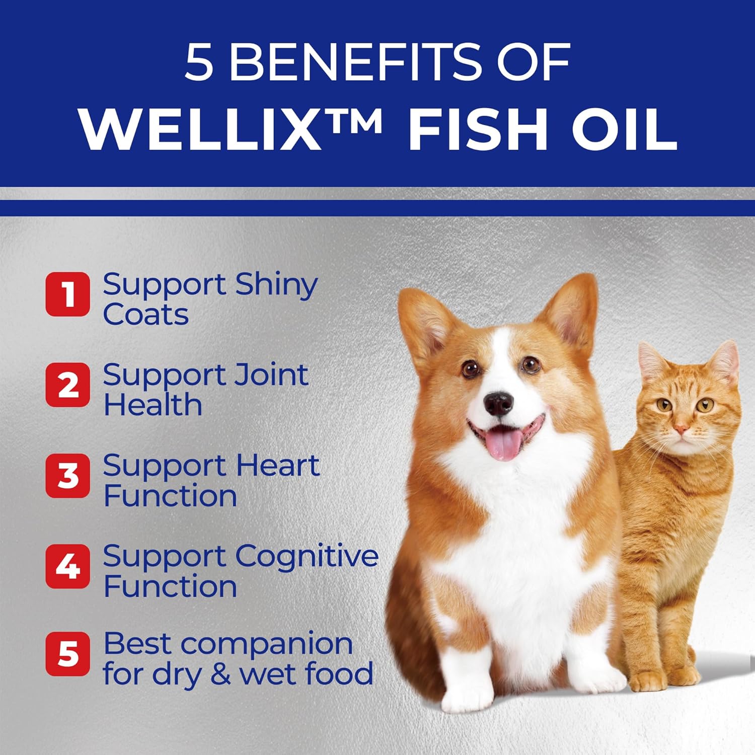 omega-3-fish-oil-supplement-for-dogs-supports-skin-and-coat-health-heart-joints-immune-system-high-epa-dha-formula-2
