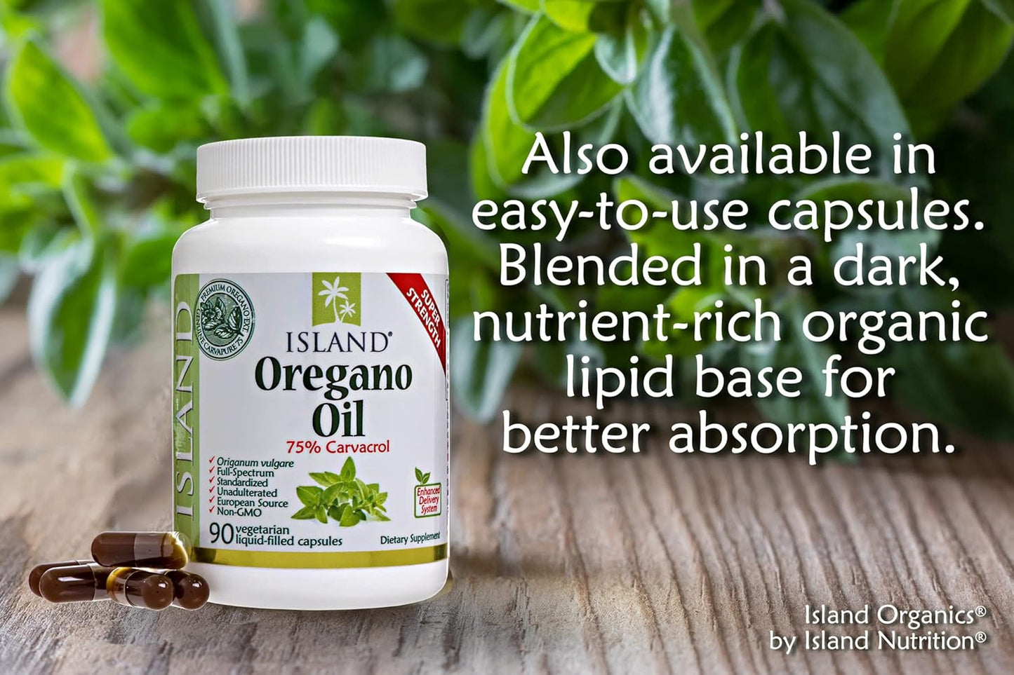 Organic Island Oregano Oil Liquid Drops - 1 fl oz | Spanish-Grown Oregano & Olive Oil Blend | Island Nutrition - Espot.com.au