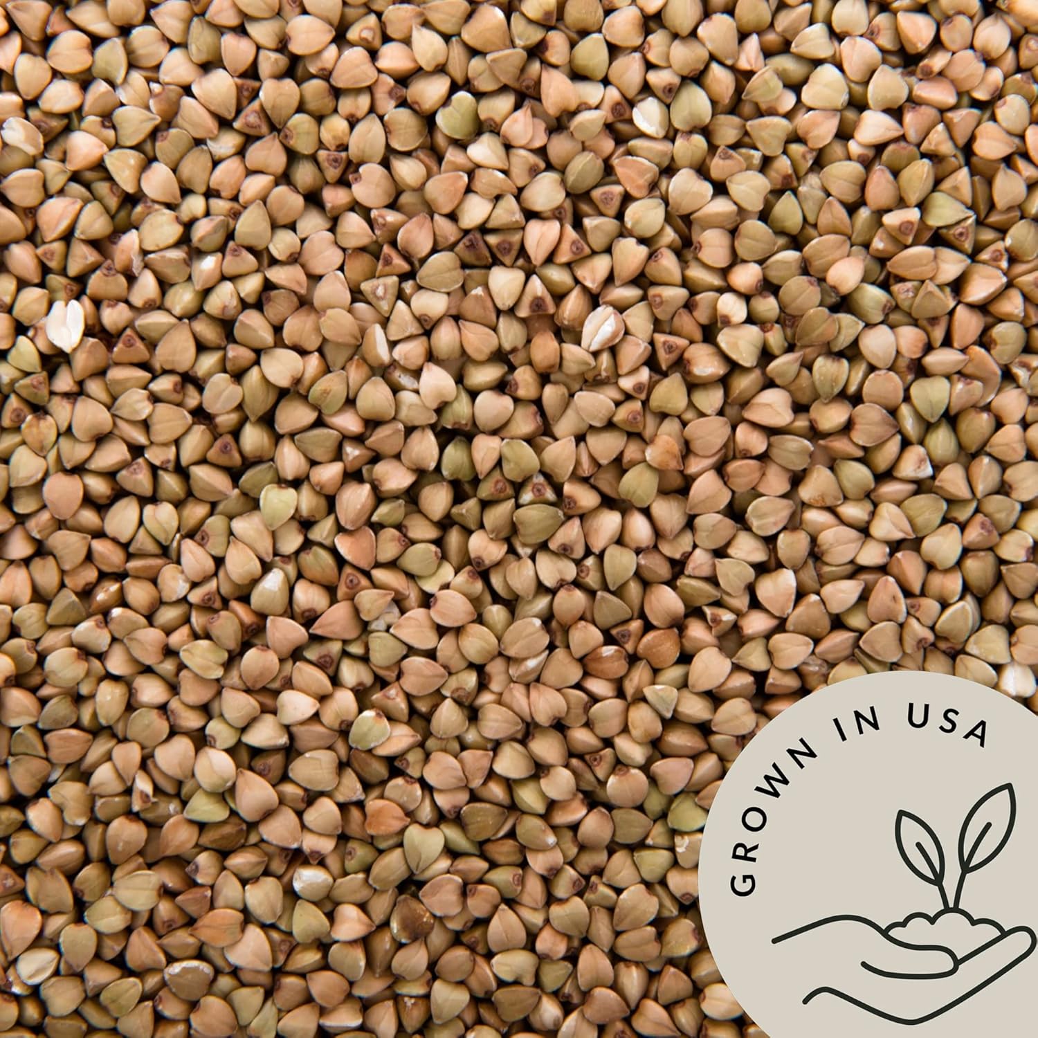 be-still-farms-organic-buckwheat-groats-bulk---48lb-whole-raw-hulled-buckwheat---high-protein-usa-grown-vegan-non-gmo-gluten-free---perfect-for-cereal-salad-side-dish-4