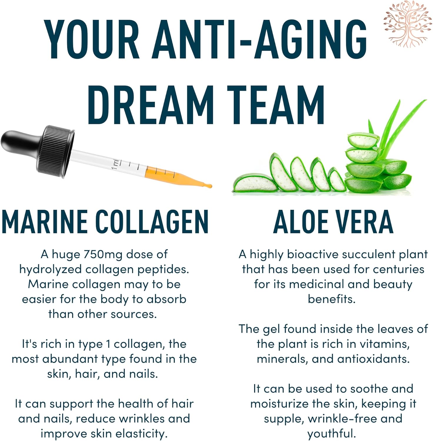 windsor-botanicals-liquid-collagen-with-aloe-and-dental-probiotics---oral-and-beauty-bundle-for-teeth-and-gums-5