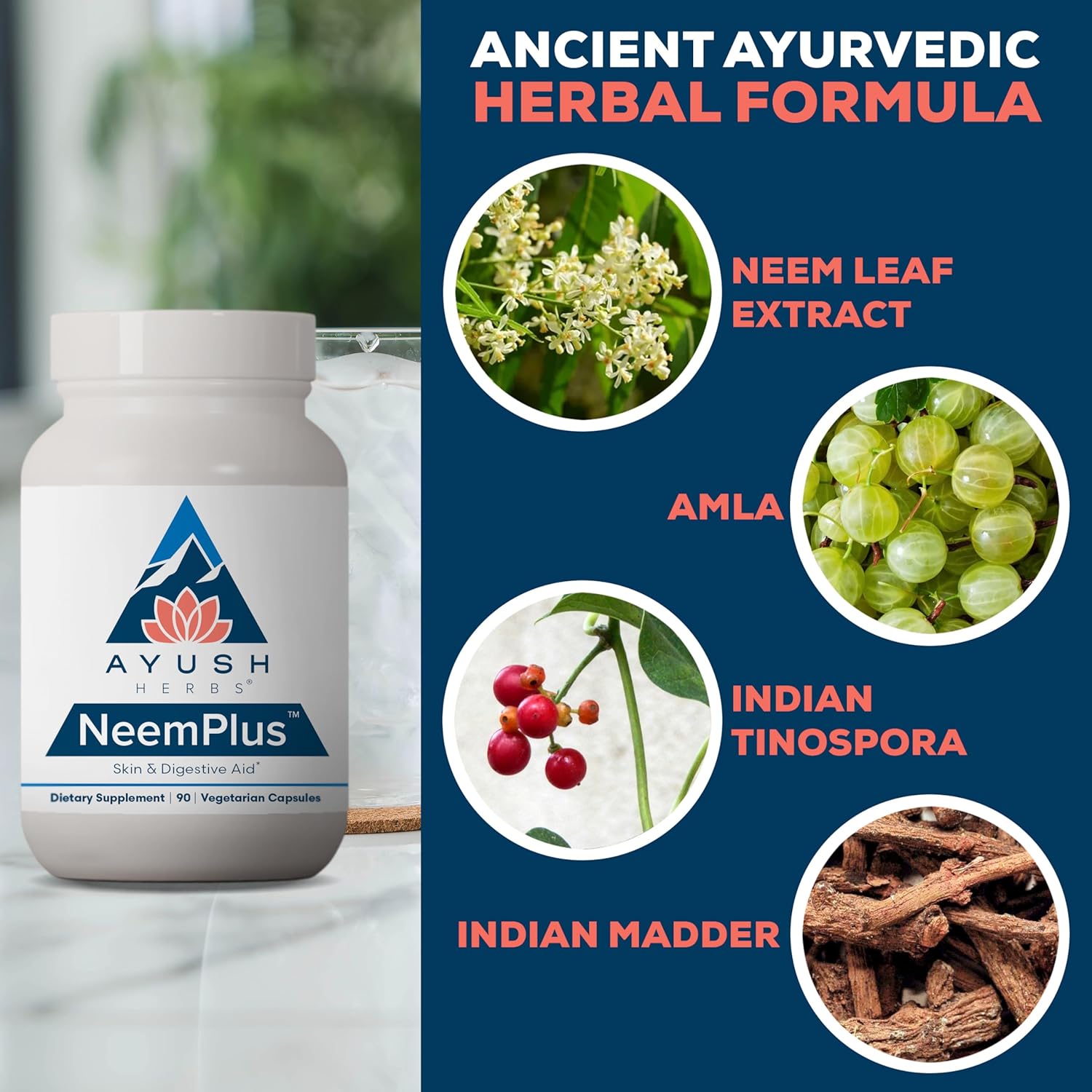 ayush-herbs-neem-plus-capsules---digestive-gut-support-for-women-men-skin-health-immune-booster---90-vegetarian-capsules-4