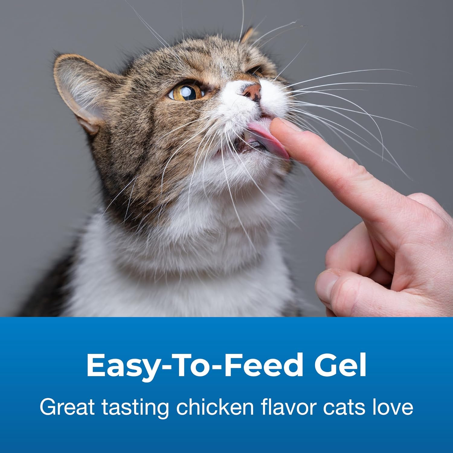 cat-vitamin-mineral-gel-supplement---35-oz---daily-essentials-for-cats-4-months---easy-to-digest-formula-4