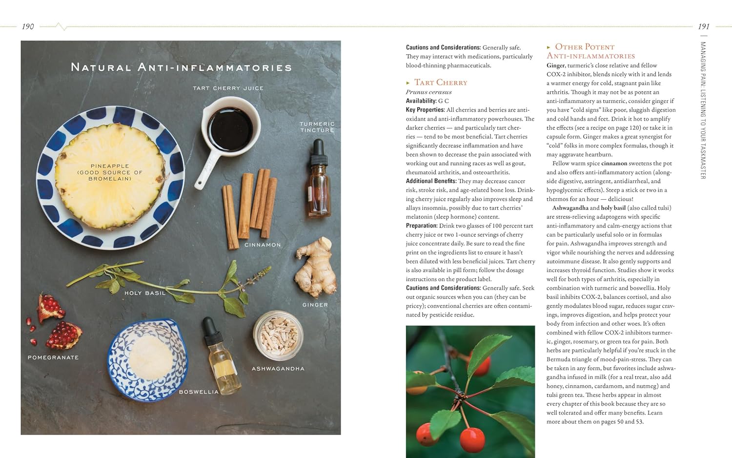 herbal-guide-to-holistic-self-care-for-achieving-body-balance-8