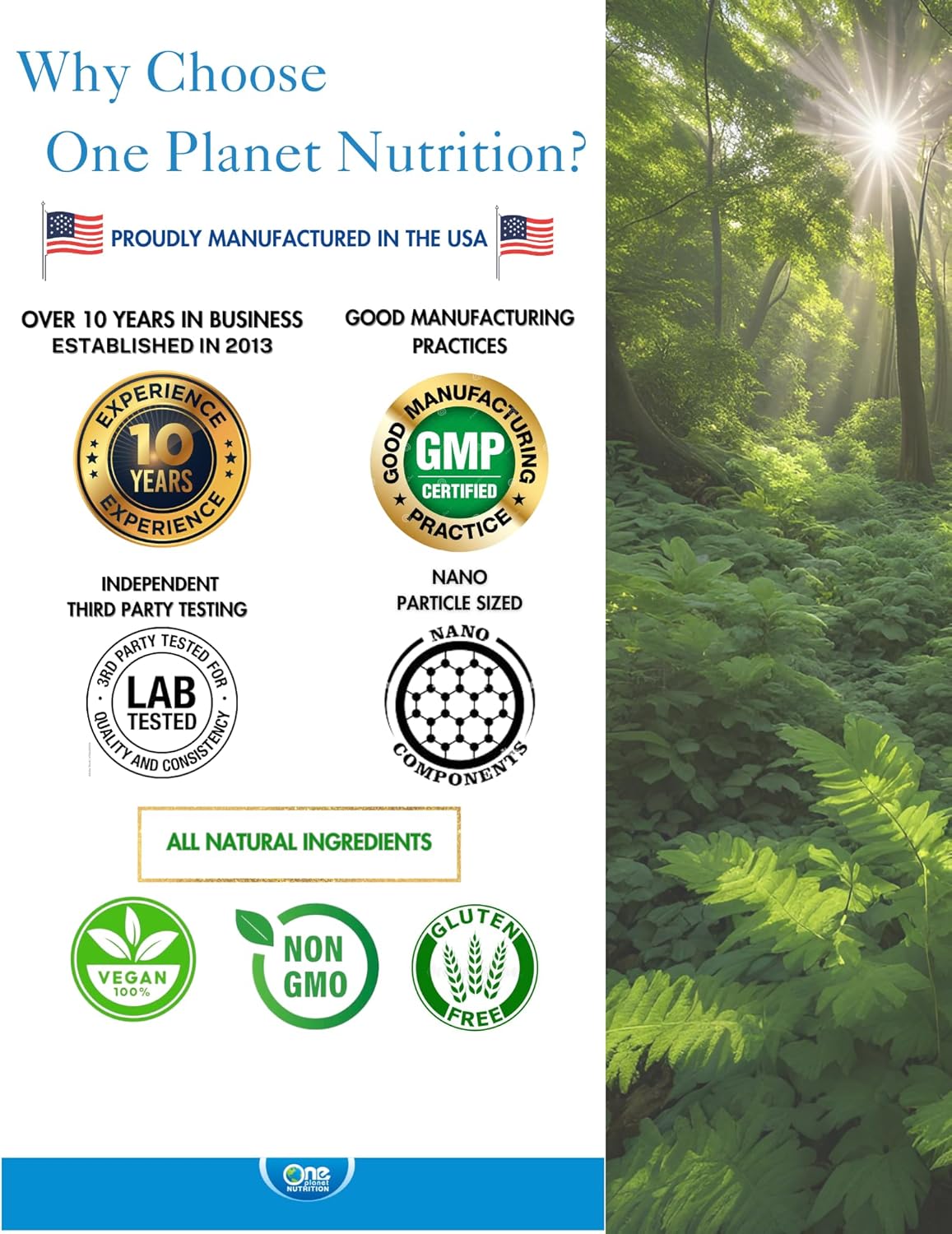 nano-curcumin-500-mg-veggie-capsules---supports-immune-health---high-absorption---120-servings---non-gmo-vegan-gluten-free---one-planet-nutrition-4