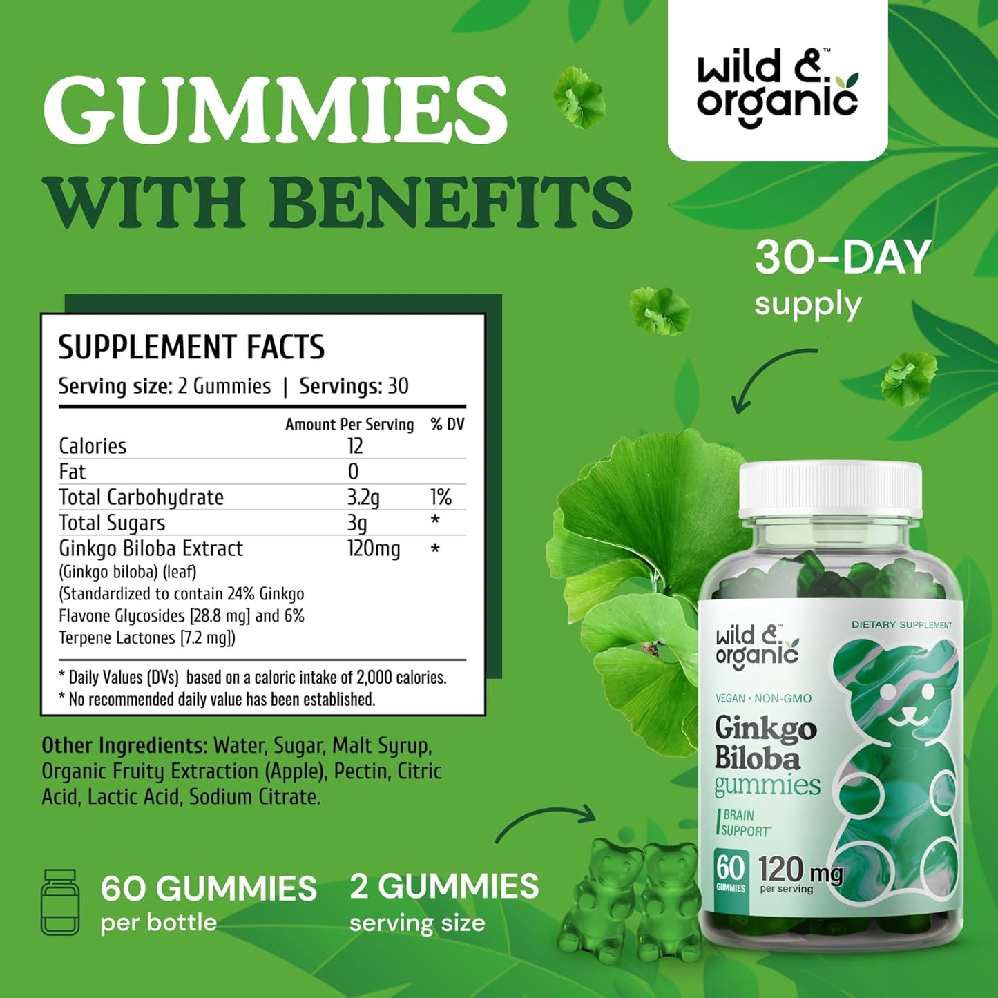 organic-lions-mane-and-ginkgo-biloba-gummies-for-enhanced-cognitive-function-and-focus-5
