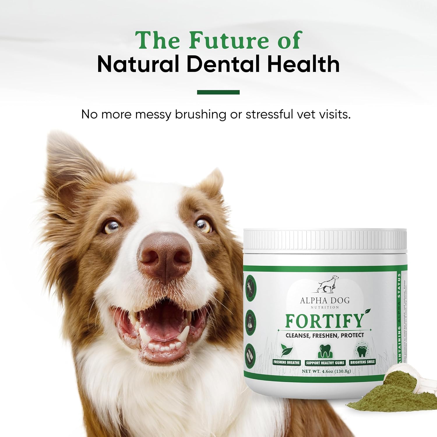 natural-dental-powder-for-dogs---promotes-oral-health-freshens-breath-and-removes-plaque---with-kelp-probiotics-and-green-supplements-for-clean-teeth-and-healthy-gums-7