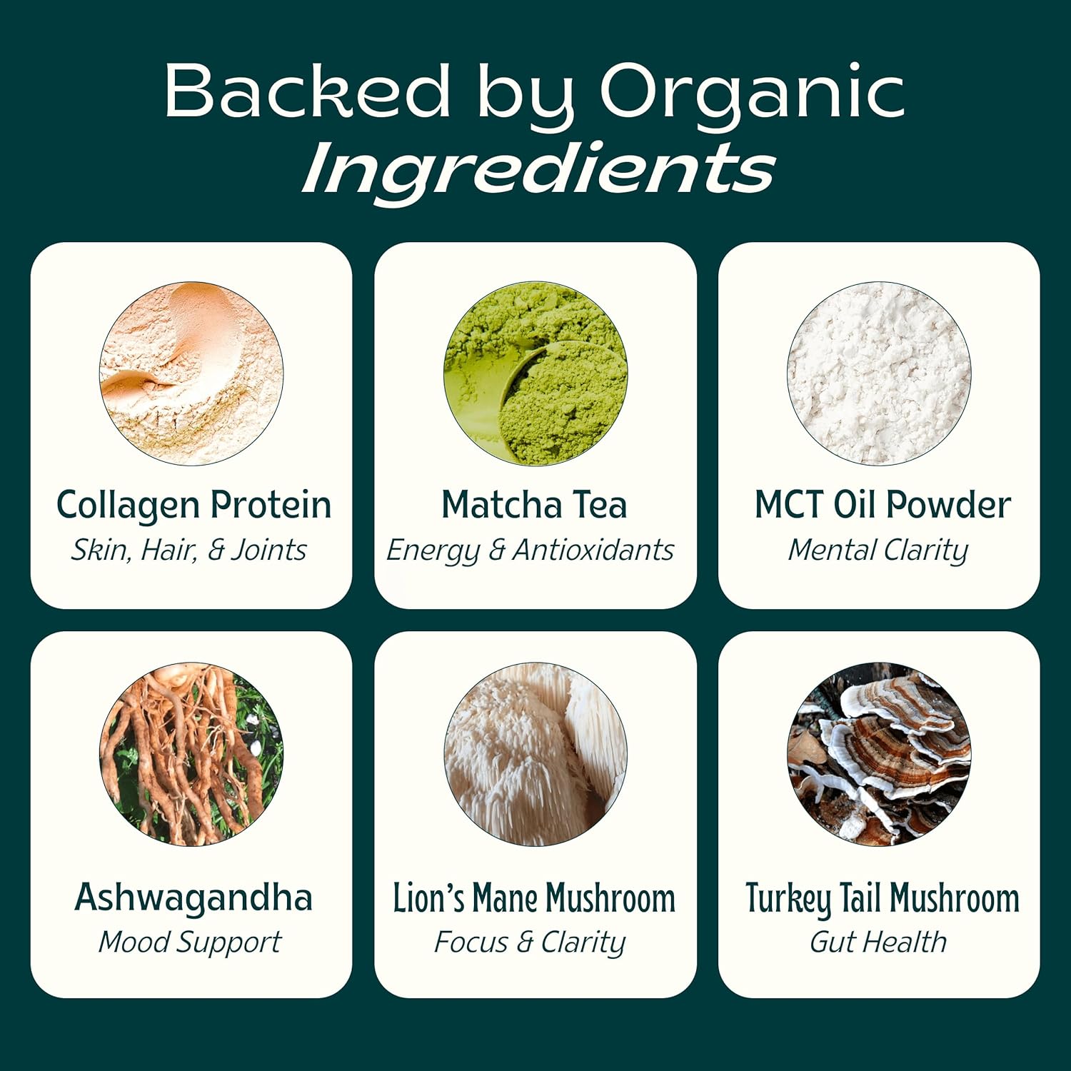 organic-mushroom-matcha-latte-powder-with-collagen-and-mct-oil---ceremonial-grade-green-tea-matcha-superfood-blend-10-servings-4