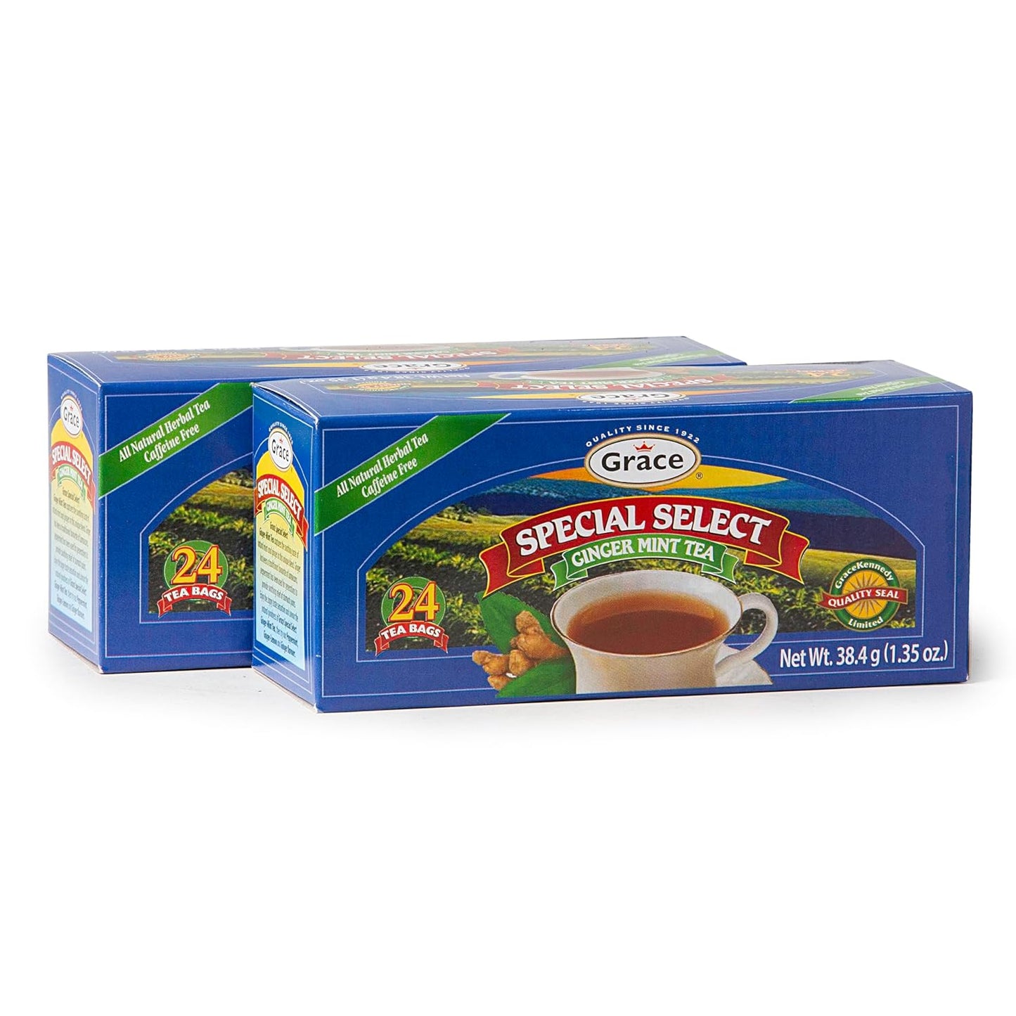 grace-special-select-ginger-mint-tea-bags---2-pack-of-24-count-134oz-herbal-tea-bags---all-natural-caffeine-free-1