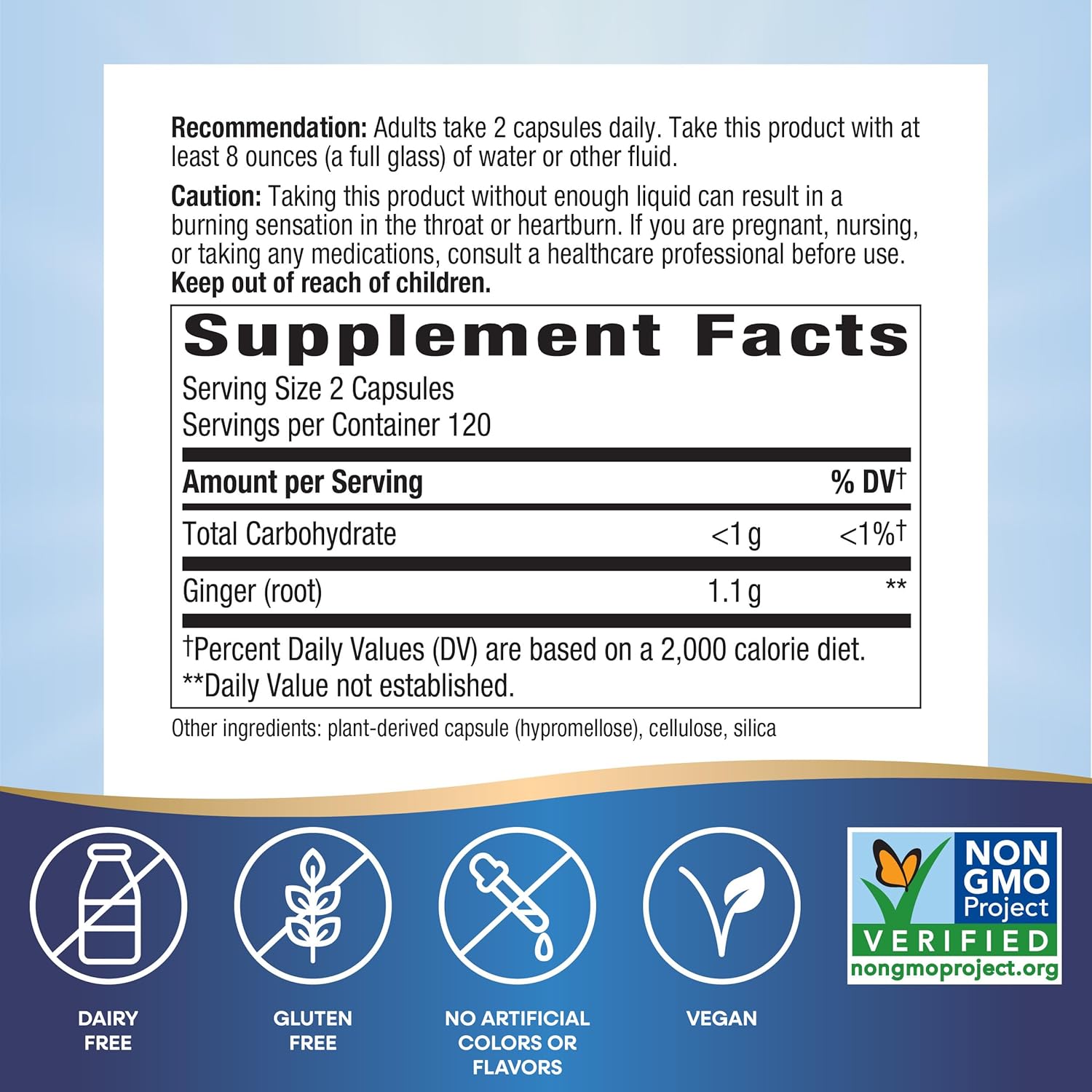 non-gmo-ginger-root-capsules-for-digestive-comfort-and-nausea-relief---240-vegan-capsules-1100-mg-per-serving-4