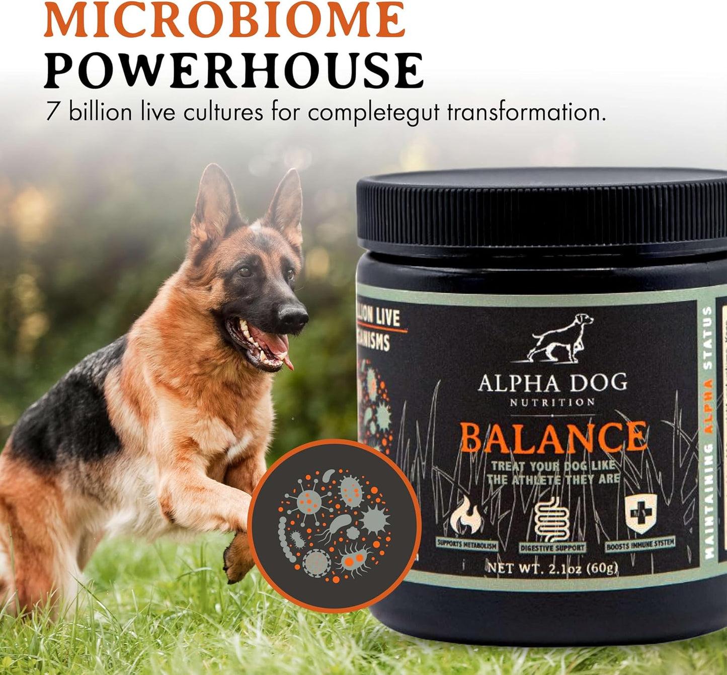 alpha-dog-nutrition-balance-probiotic-blend-for-canines---gut-health-supplement-with-probiotics-and-prebiotics-5