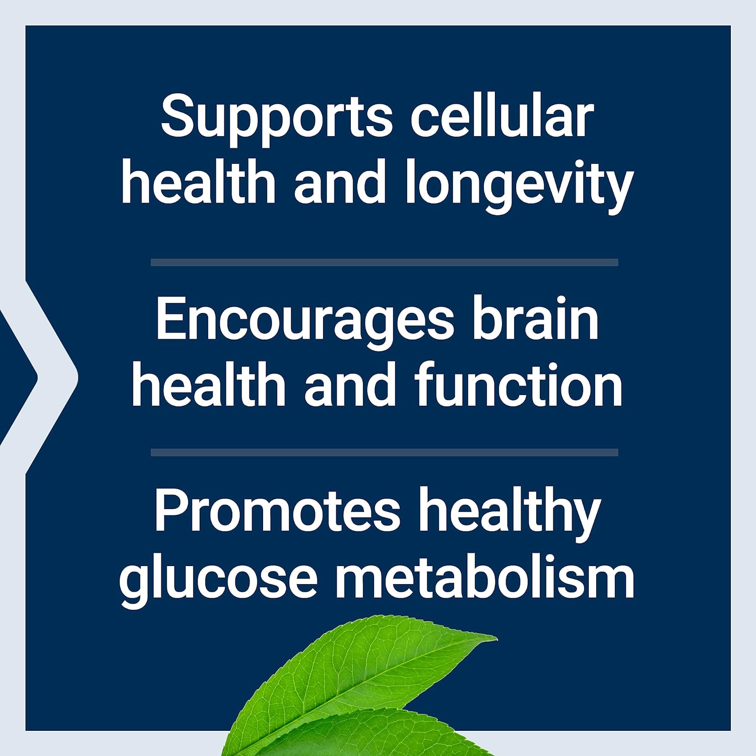 30-count-life-extension-l-ergothioneine-and-bio-fisetin-capsules-for-cellular-health-and-youthful-aging-7