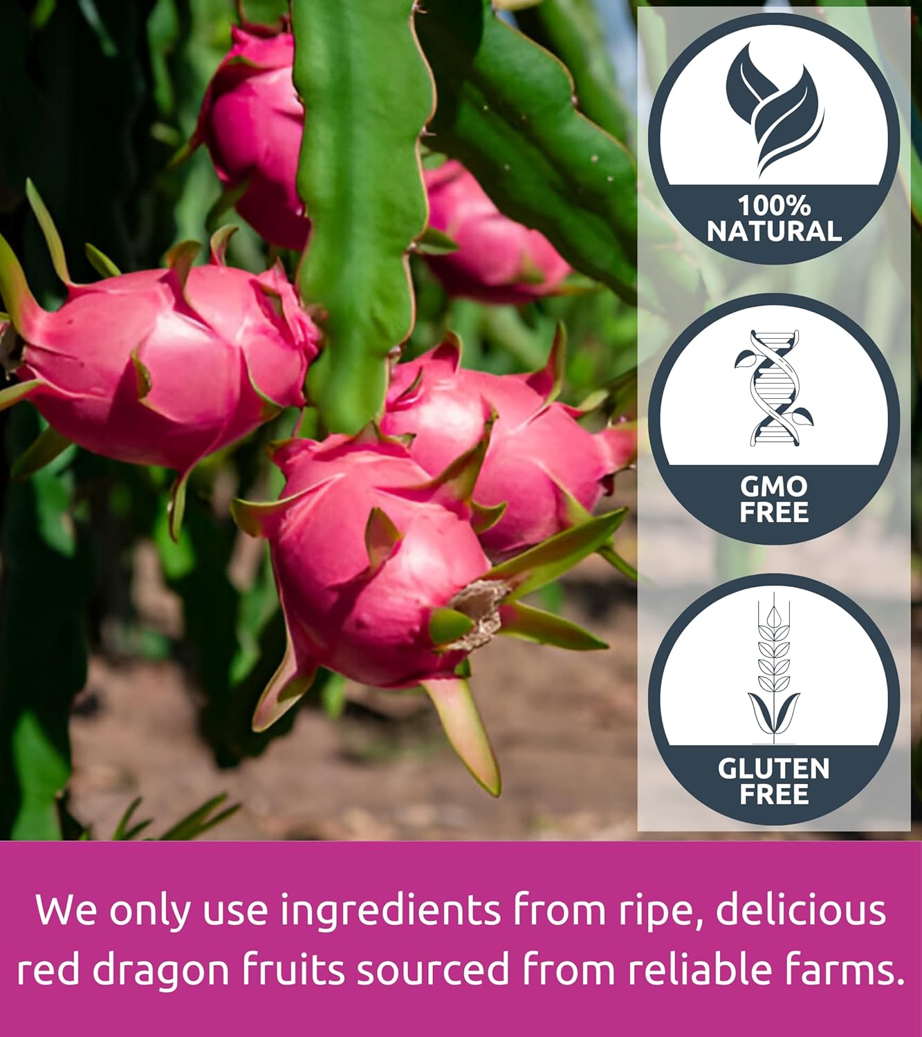 vietnam-freeze-dried-dragon-fruit-cubes-80-oz---natural-red-pitaya-snack-no-added-sugar---non-gmo-gluten-free-for-drinks-cereal-yogurt-3