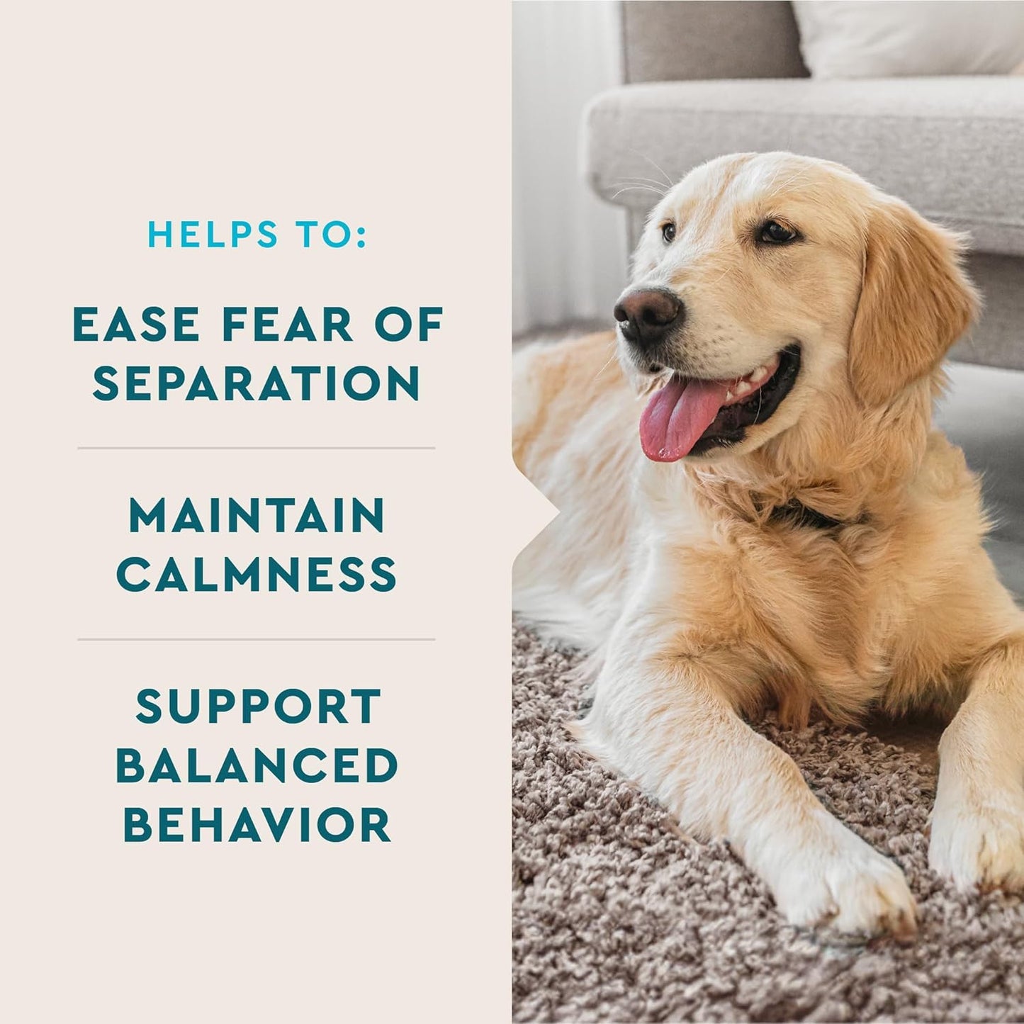 USA-Made VetIQ Calming Chews for Dogs, 60 Count - Stress & Anxiety Relief Supplement to Promote Relaxation & Manage Anxiety - Espot.com.au