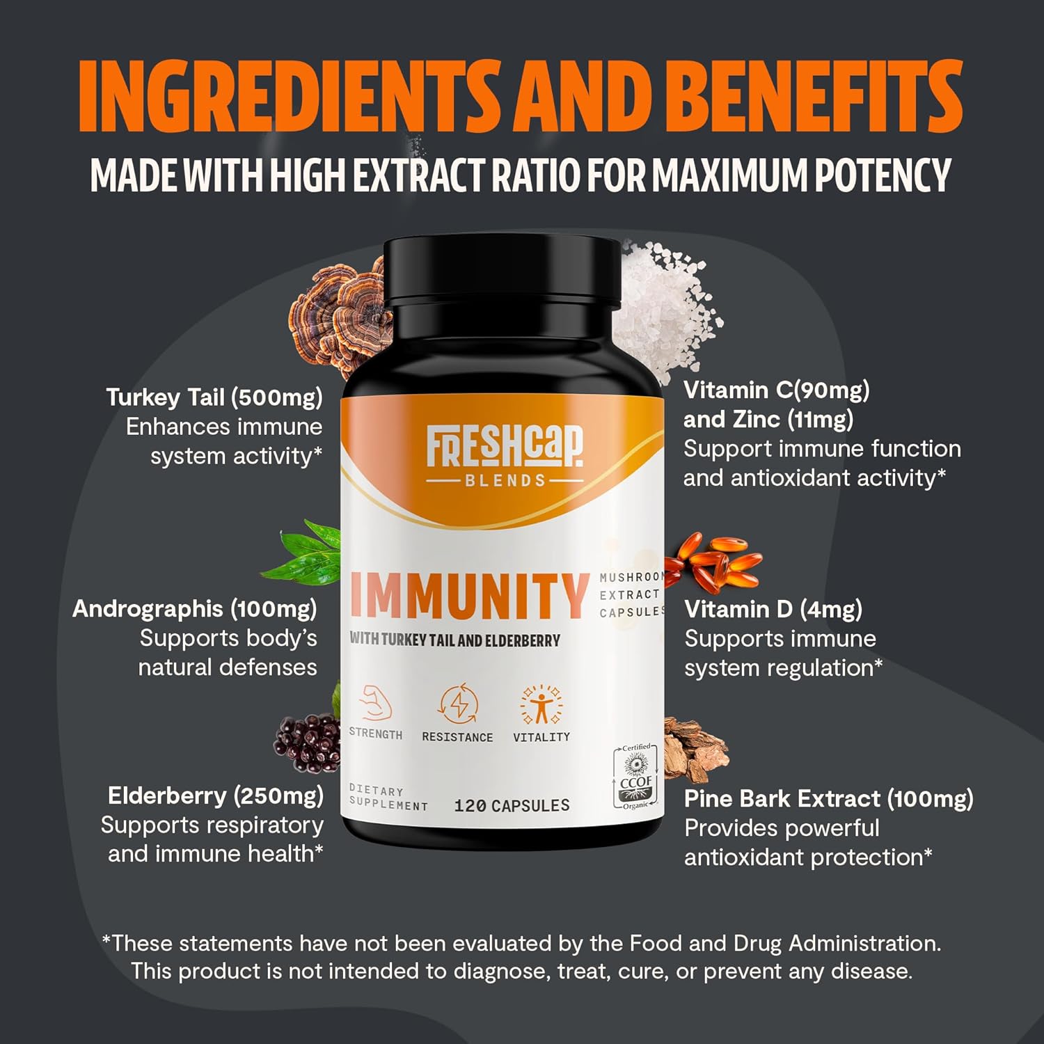 immunity-boost-supplement-with-elderberry-vitamin-c-zinc-turkey-tail-mushroom-capsules---120-count-2
