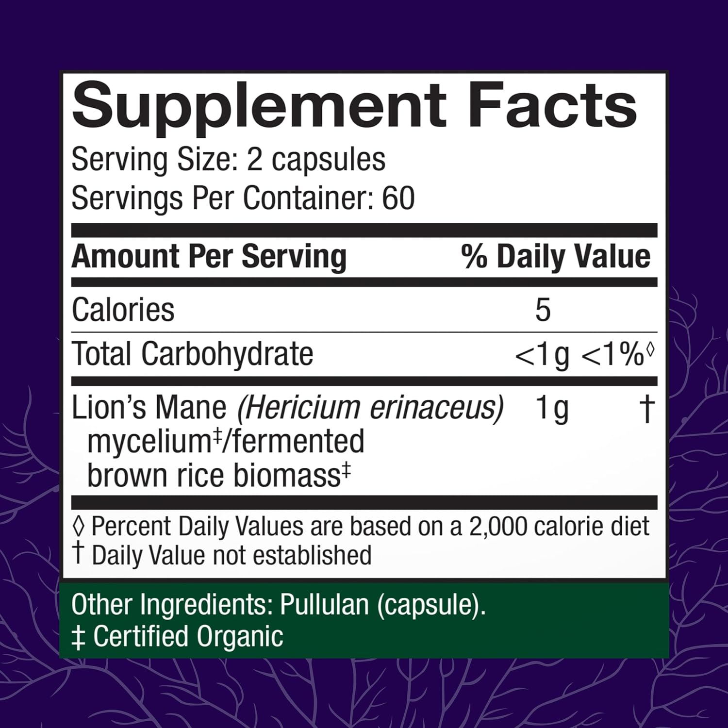 lions-mane-mushroom-brain-health-support-supplement---boost-focus-memory---immune-nervous-system-support---120-capsules-2