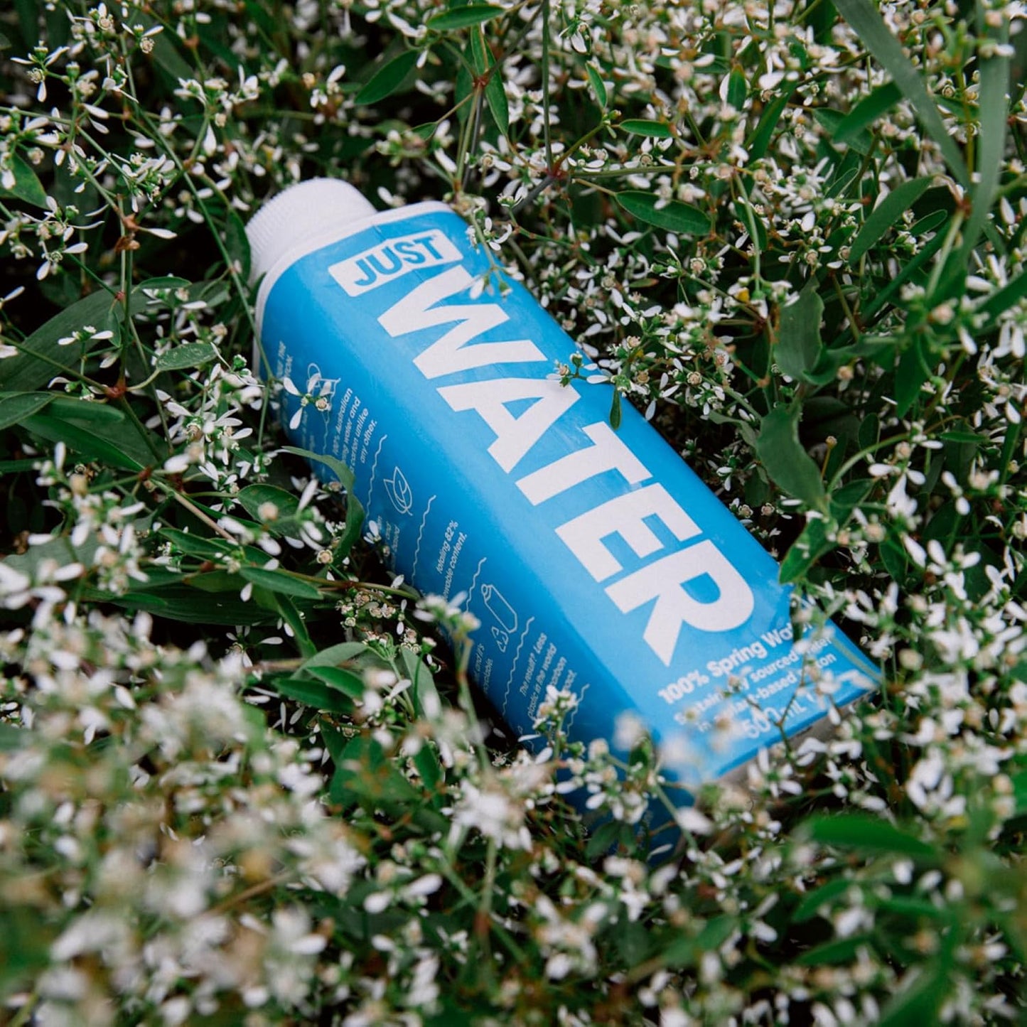 JUST Water Premium Pure Still Spring Water Eco-Friendly Plant-Based Bottle 8.0 pH 16.9 Fl Oz (Pack of 12) - Espot.com.au