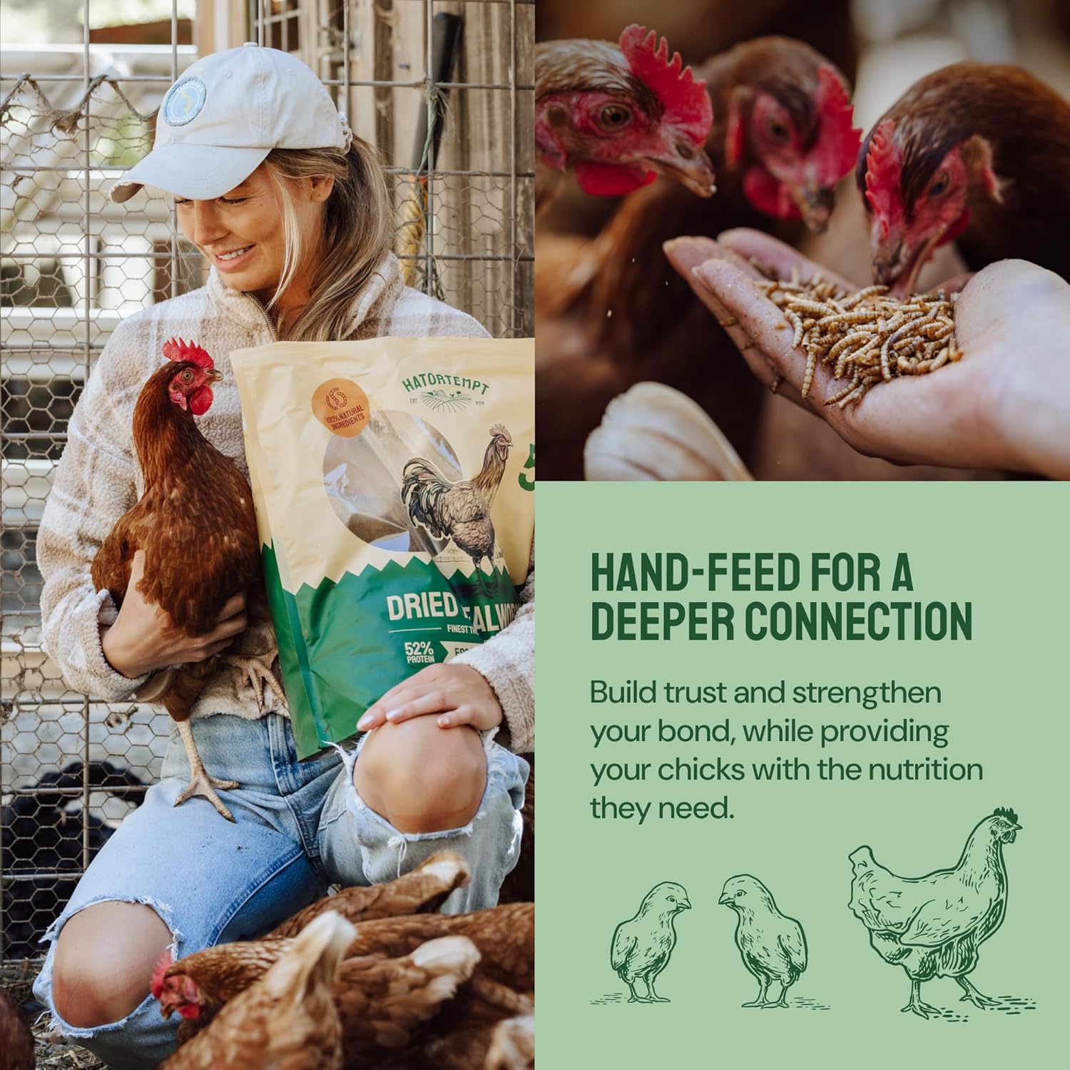organic-non-gmo-dried-mealworms-10-lbs---chicken-feed-treats-for-laying-hens---bulk-mealworms-for-birds---premium-chick-feed-supplement-7
