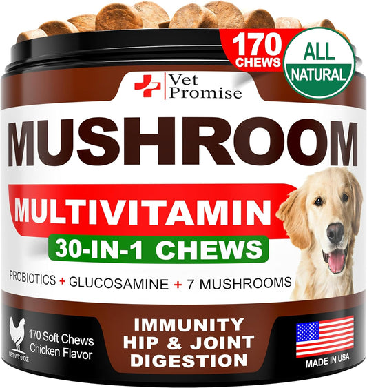 turkey-tail-lions-mane-reishi-mushroom-supplement-for-dogs---170-chews---immunity-joint-health-support---made-in-usa-1
