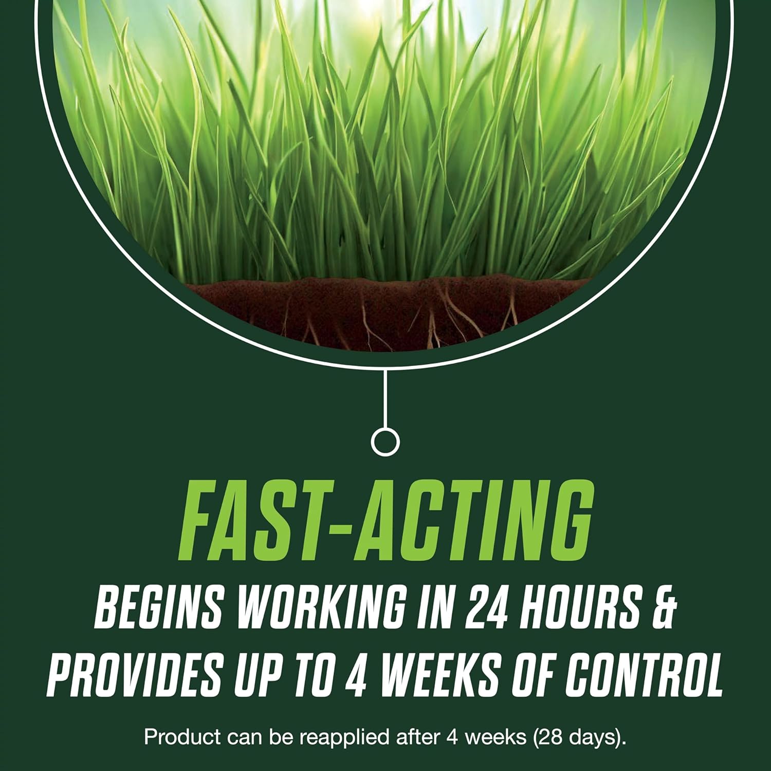Scotts Turf Builder Healthy Plus Lawn Food - 2-in-1 Fungicide & Fertilizer - Supports Grass Health - 4,000 sq. ft. Coverage - 13.70 lbs. - Espot.com.au