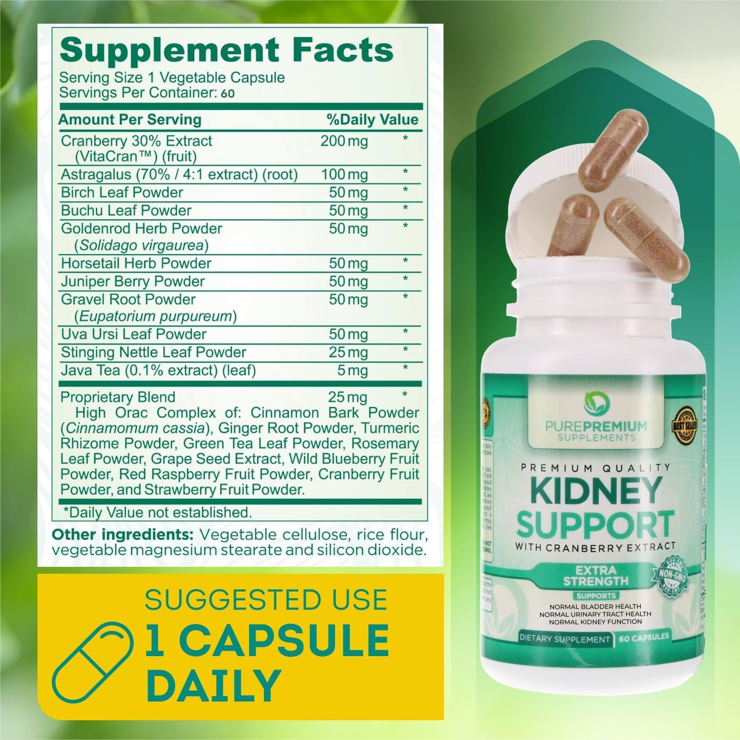 kidney-support-supplement-with-cranberry-extract-astragalus-for-urinary-health---60-capsules-for-men-and-women---cleanse-detox-repair-formula-for-bladder-health-3