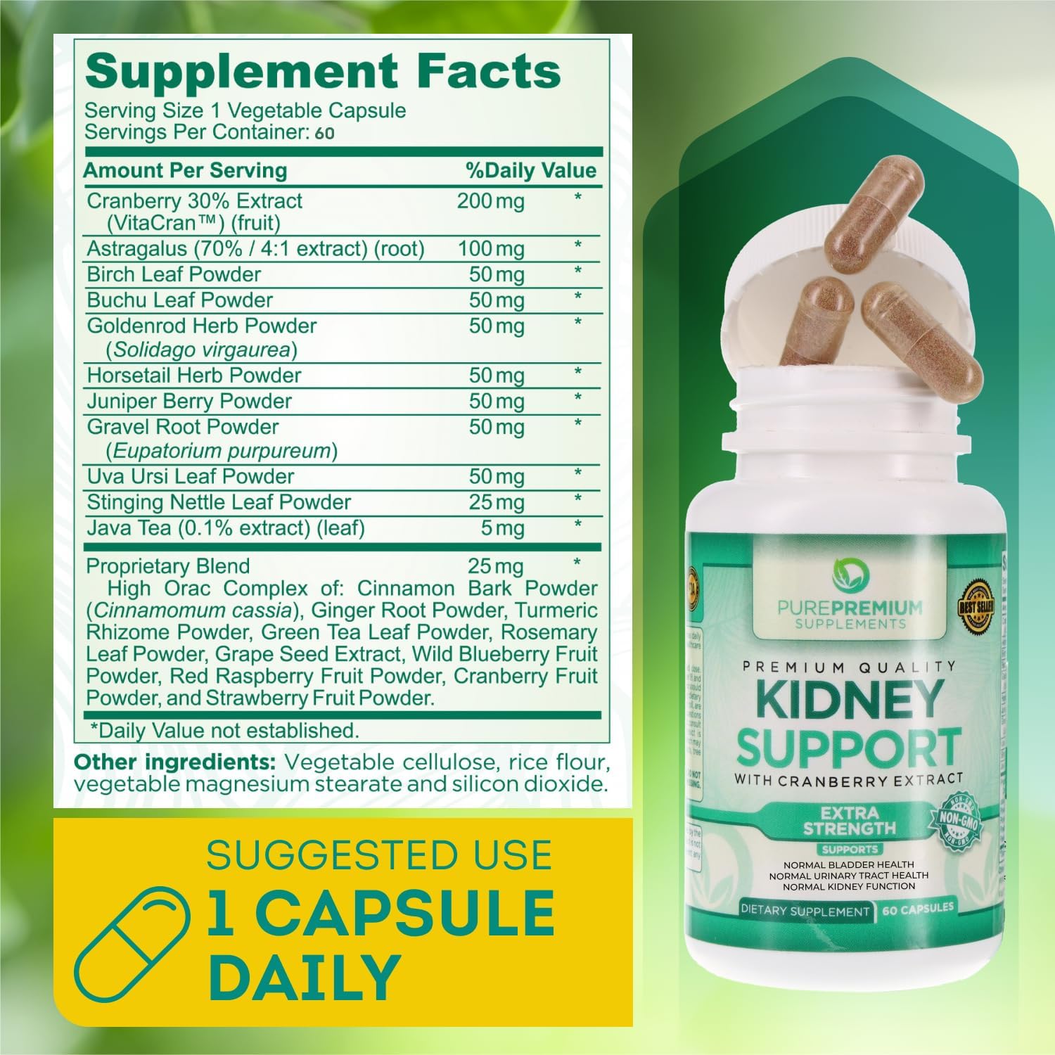 kidney-support-supplement-with-cranberry-extract-astragalus-for-urinary-health---60-capsules-for-men-and-women---cleanse-detox-repair-formula-for-bladder-health-3