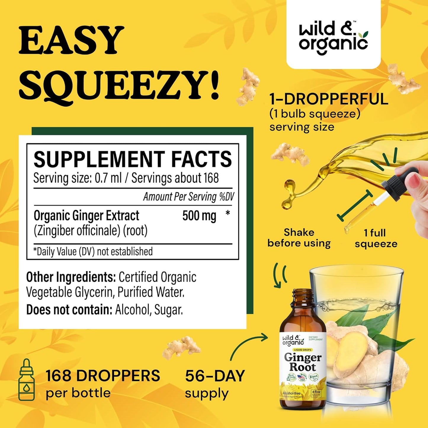 organic-ginger-root-extract-drops---immune-digestive-support---liquid-supplement---vegan-alcohol-free-tincture---4-fl-oz-3