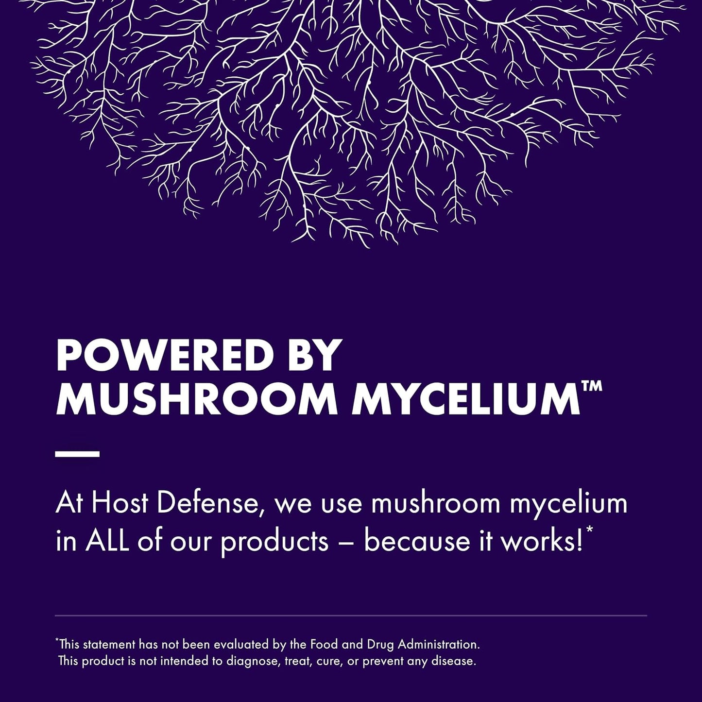 Lion's Mane Mushroom Brain Health Supplement - Supports Focus, Memory, Immune & Nervous System - 30 Capsules - Espot.com.au