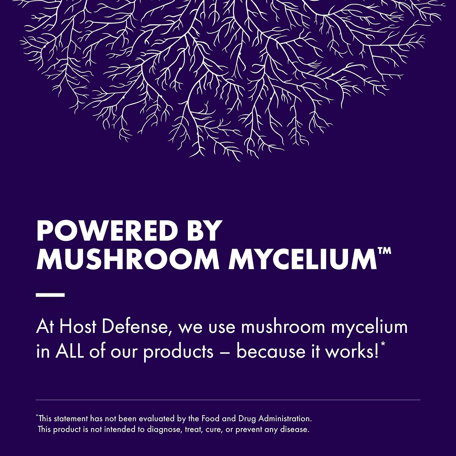 Lion's Mane Mushroom Brain Health Supplement - Supports Focus, Memory, Immune & Nervous System - 30 Capsules - Espot.com.au
