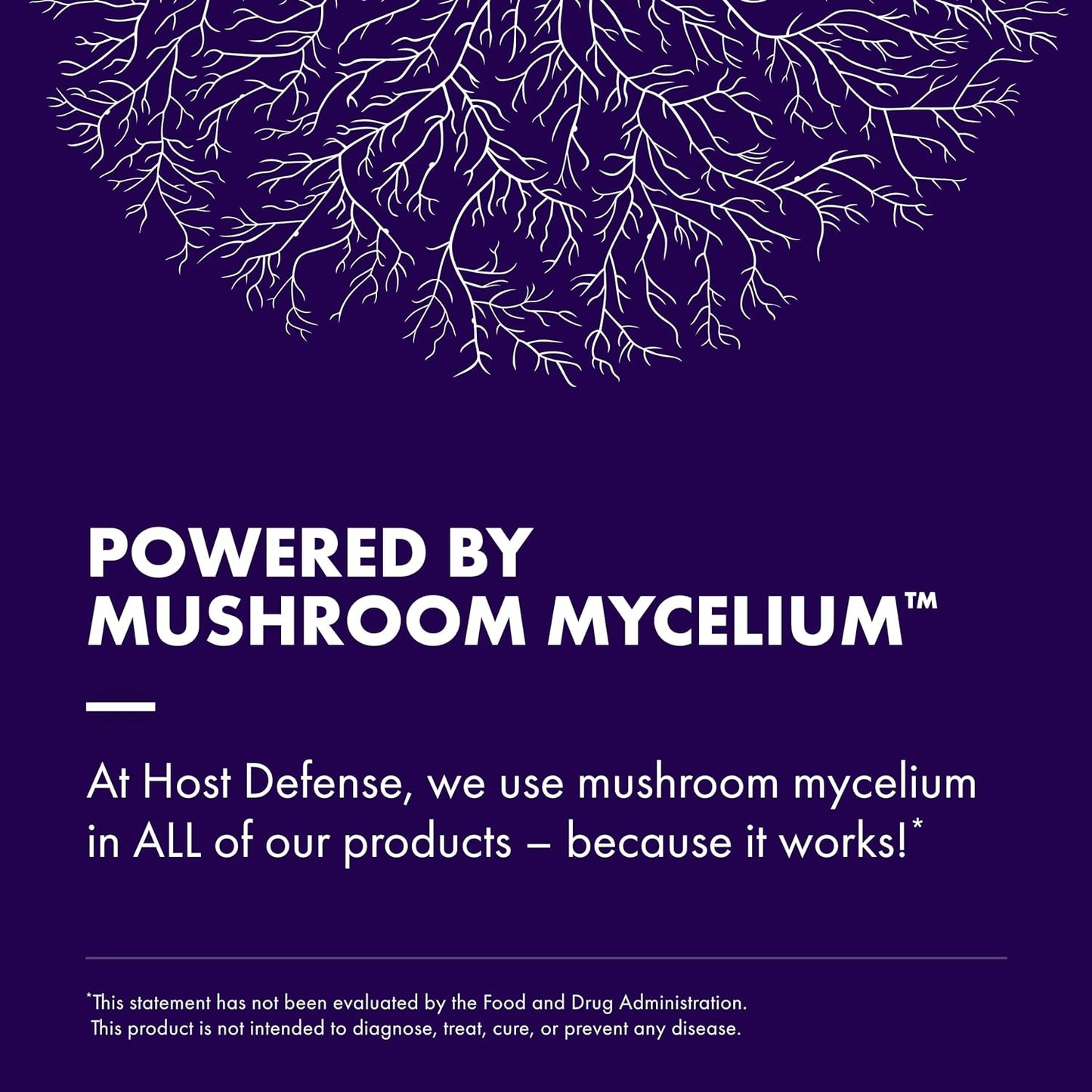lions-mane-mushroom-brain-health-support-supplement---boost-focus-memory---immune-nervous-system-support---120-capsules-6
