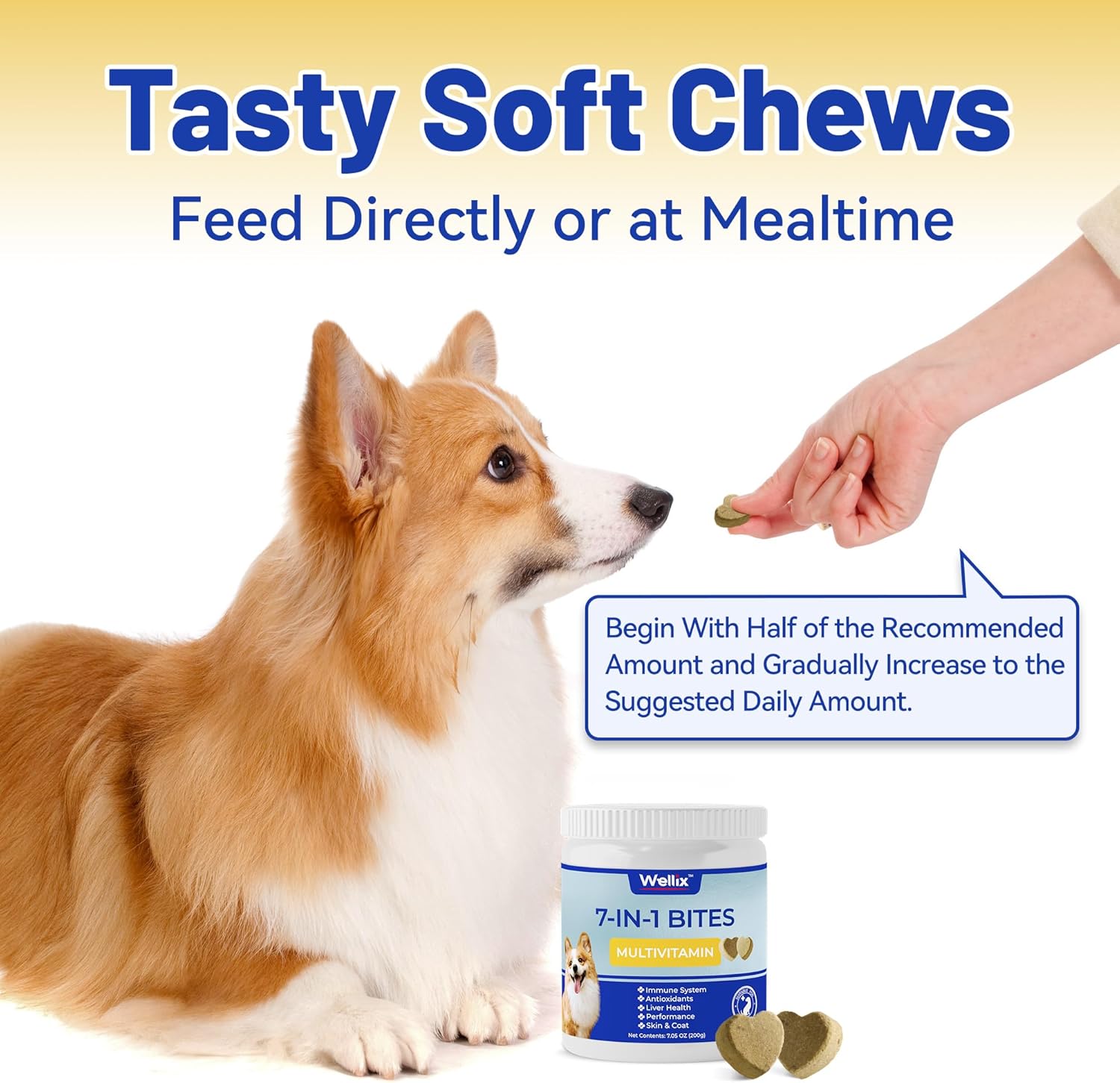 dog-multivitamin-chewable-treats-for-skin-coat-mobility-hip-joint-support---wellix-supplement-for-immune-system-overall-health-120-chews-8