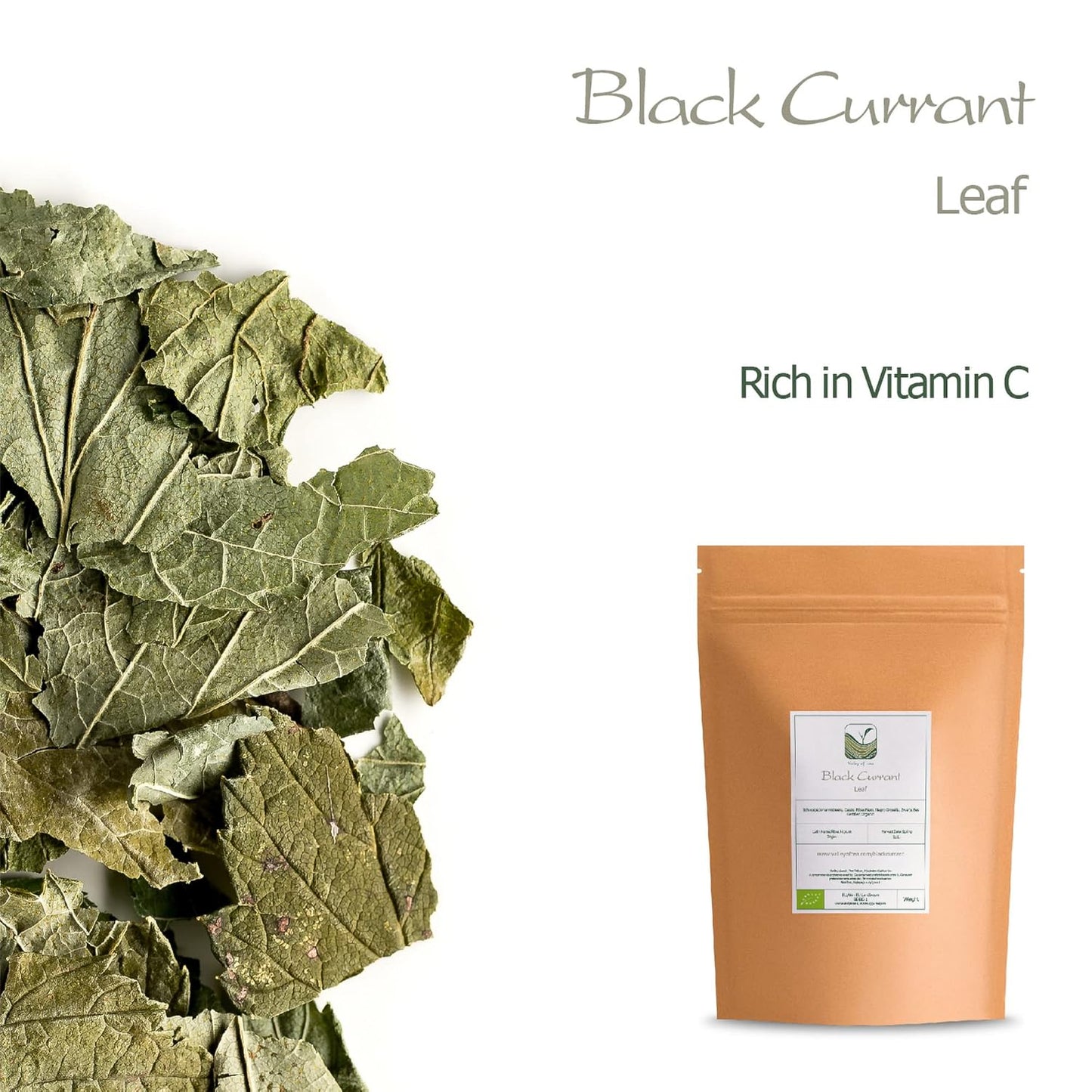 Organic Black Currant Leaf Tea - Perfect Pairing for Desserts - Ribes Nigrum Valley Tea - Espot.com.au