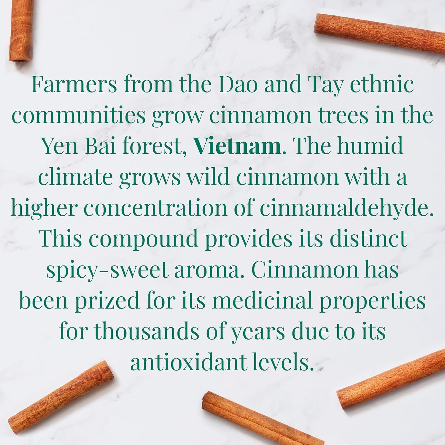 organic-vietnamese-cinnamon-superherb-tea-tin---36-herbal-tea-bags-caffeine-free-herbal-blend-from-the-republic-of-tea-3