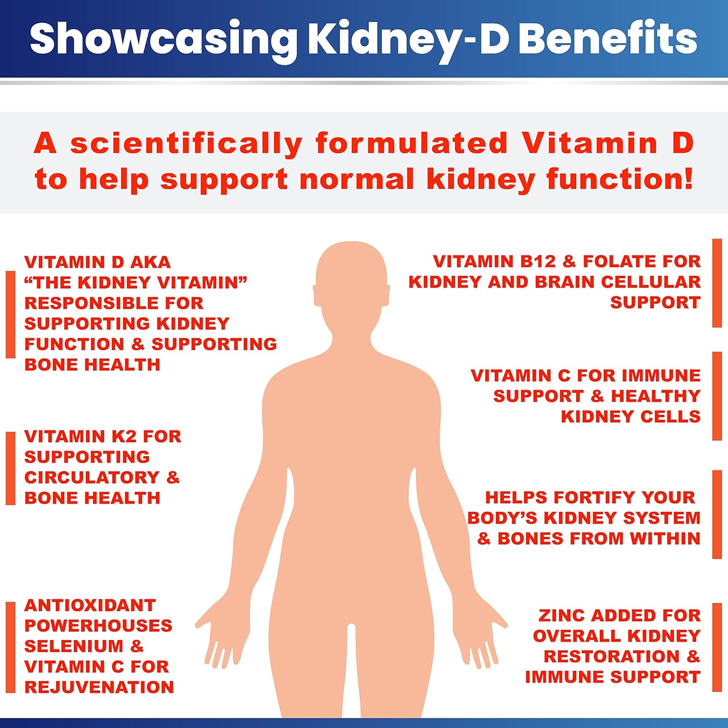 Kidney Restore Kidney-D Supplement with Vitamin D3 for Optimal Kidney Support and Health - Espot.com.au
