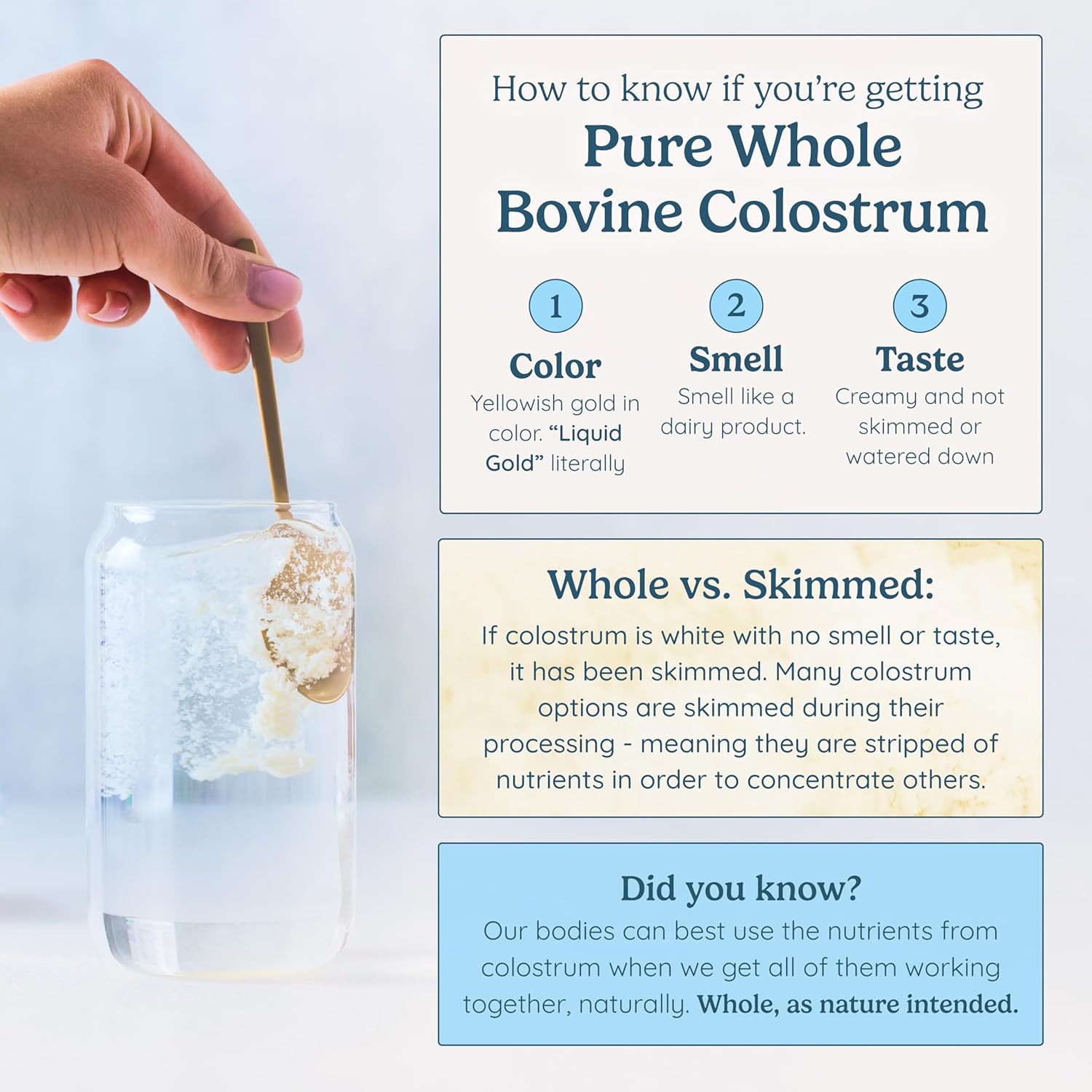natural-igg-whole-bovine-colostrum-supplement-powder---gut-health-immune-support-muscle-recovery---unflavored-superfood-60-servings-3