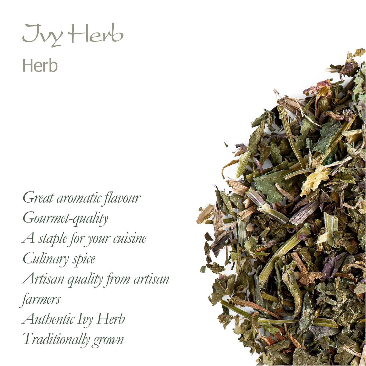 Organic Ground Ivy Tea - Premium Quality Catsfoot Herbal Tea - Glechoma Hederacea Ivy Herb Tea - Valley of Tea Blend - Espot.com.au