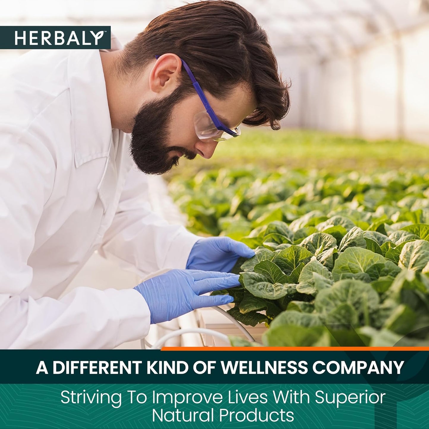 organic-herbaly-heart-functional-tea-with-9-superherbs---caffeine-free-sugar-free---30-pyramid-tea-bags---herbal-wellness-collection-7