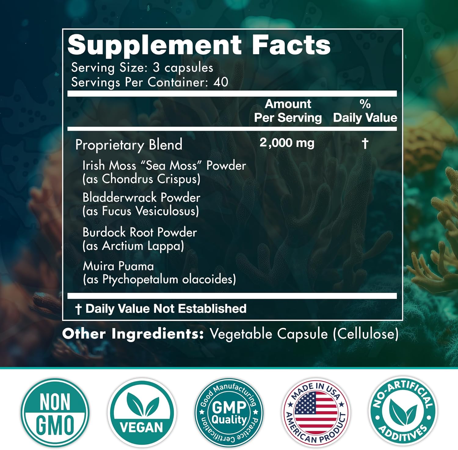 irish-sea-moss-capsules-with-burdock-root-bladderwrack-muira-puama-for-immunity-gut-health-energy---superfood-supplements-with-raw-sea-moss-powder---240-pills-8