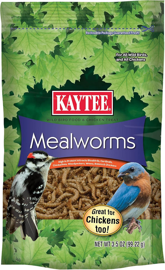 kaytee-wild-bird-food-mealworms-for-bluebirds-wrens-robins-chickadees-woodpeckers-cardinals-and-chickens---35-oz-1